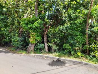 Achat Terrain Sainte-Clotilde (97490) - REUNION