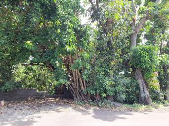 Achat Terrain Sainte-Clotilde (97490) - REUNION