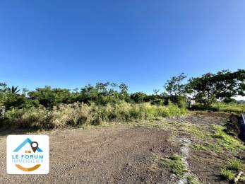 Achat Terrain Saint-Pierre (97410) - REUNION