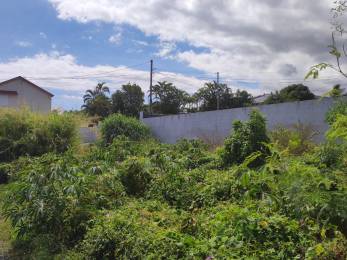 Achat terrain plat  Saint-Joseph (97480) - REUNION