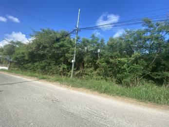 Achat Terrain à Batir Saint-François (97118) - GUADELOUPE