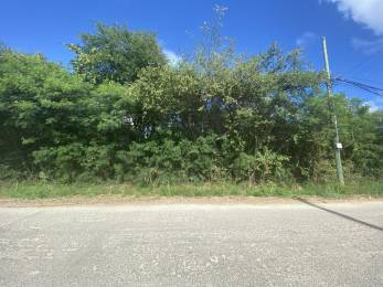 Achat Terrain à Batir Saint-François (97118) - GUADELOUPE