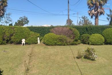 Achat Maison Plaine des Cafres (97418) - REUNION