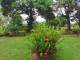miniature