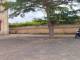 miniature