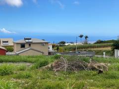 achat terrain à saint-pierre (97410)