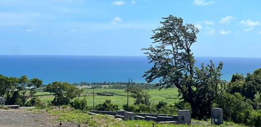Achat Terrain Sainte-Marie (97438) - REUNION