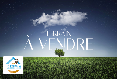 Achat Terrain Saint-Pierre (97410) - REUNION