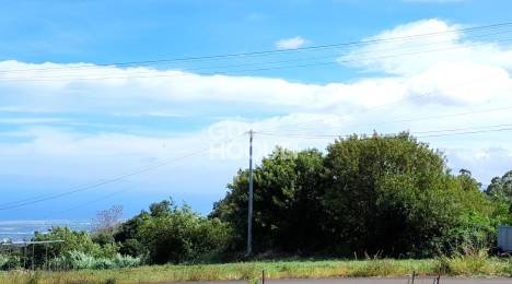 Achat Terrain Saint-Pierre (97410) - REUNION