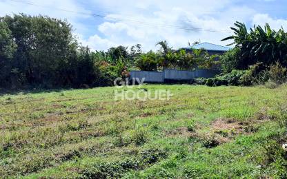 Achat Terrain Saint-Pierre (97410) - REUNION