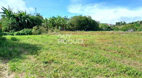 Achat Terrain Saint-Pierre (97410) - REUNION