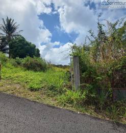 Achat Terrain Vieux Habitants (97119) - GUADELOUPE
