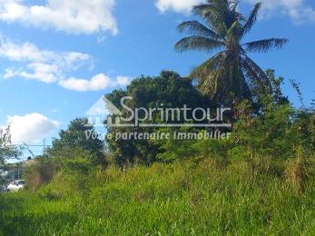 Achat Terrain Vieux Habitants (97119) - GUADELOUPE