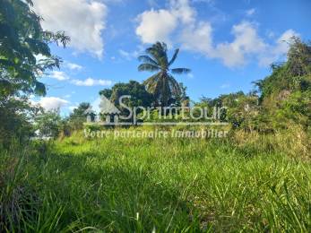 Achat Terrain Vieux Habitants (97119) - GUADELOUPE