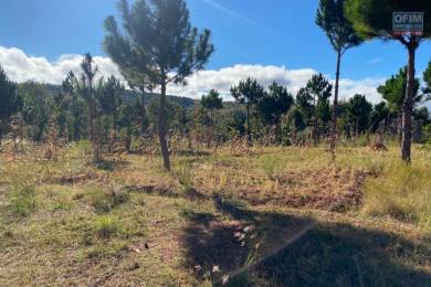 Achat Terrain ANTANANARIVO () - MADAGASCAR