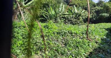 a vendre  terrain de 292m² sur le centre ville de saint andré