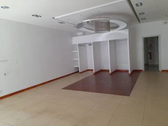 Location  Local commercial  Saint-Denis (97400) - REUNION