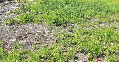 terrain constructible de 395 m² plat et clôturé à saint-andré