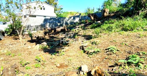 Achat Terrain Tampon (97430) - REUNION