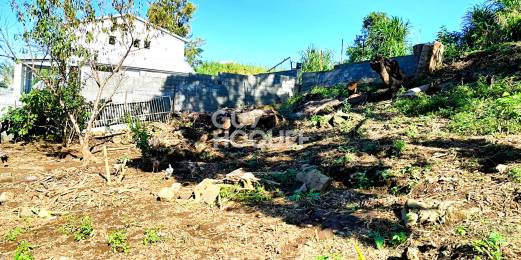 Achat Terrain Tampon (97430) - REUNION