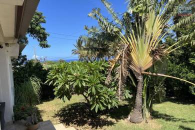 Achat Maison Saint-Pierre (97410) - REUNION