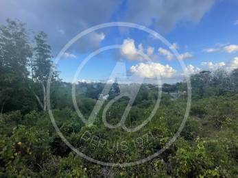 Achat Terrain Le Gosier (97190) - GUADELOUPE