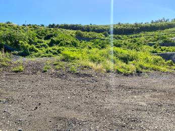 Achat Terrain Saint-Pierre (97410) - REUNION