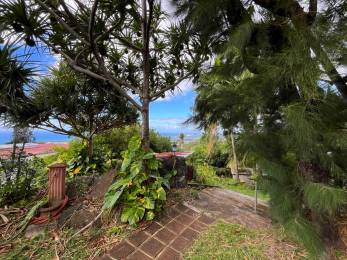 Achat Maison Sainte-Clotilde (97490) - REUNION