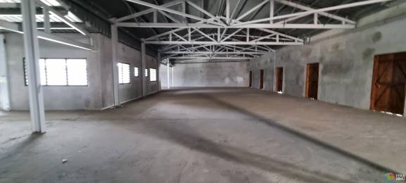 Location  Local commercial Saint-Pierre (97410) - REUNION