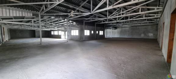 Location  Local commercial Saint-Pierre (97410) - REUNION