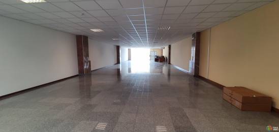 Location  Bureaux Saint-Louis (97450) - REUNION