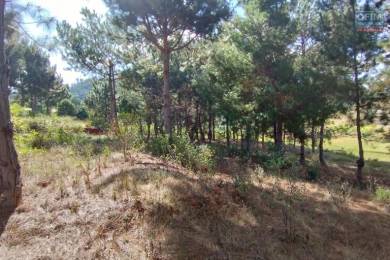 Achat Terrain ANTANANARIVO () - MADAGASCAR