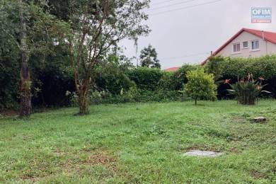 Achat Maison Plaine des Palmistes (97431) - REUNION