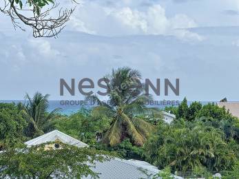 Achat Terrain Saint-François (97118) - GUADELOUPE
