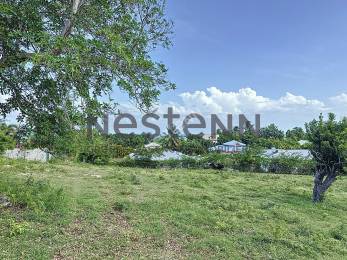 Achat Terrain Saint-François (97118) - GUADELOUPE