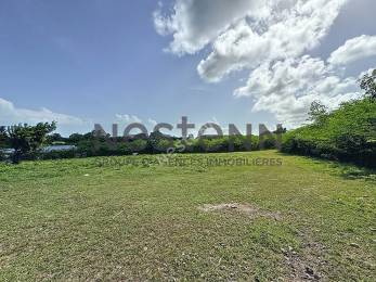 Achat Terrain Saint-François (97118) - GUADELOUPE