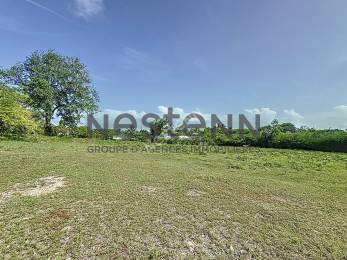 Achat Terrain Saint-François (97118) - GUADELOUPE