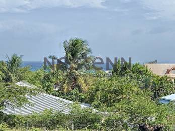 Achat Terrain Saint-François (97118) - GUADELOUPE