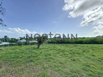 Achat Terrain Saint-François (97118) - GUADELOUPE