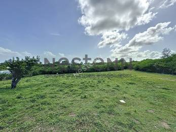 Achat Terrain Saint-François (97118) - GUADELOUPE