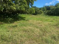 achat terrain à morne à l'eau (97111)