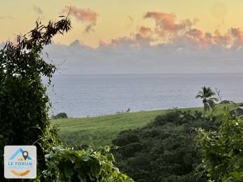 Achat Terrain Saint-Pierre (97410) - REUNION