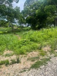 Achat Terrain Petit Canal (97131) - GUADELOUPE