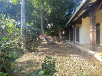 Achat Maison Saint-Pierre (97410) - REUNION