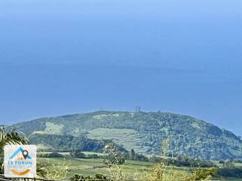 Achat Villa Saint-Joseph (97480) - REUNION