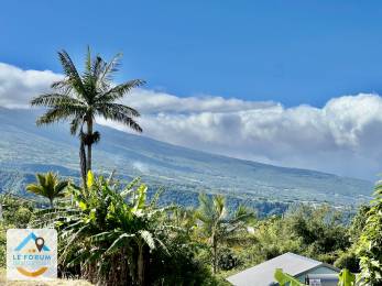 Achat Villa Saint-Joseph (97480) - REUNION