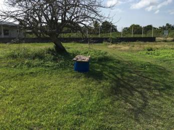 Achat Terrain Petit Canal (97131) - GUADELOUPE