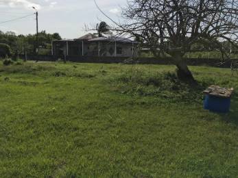 Achat Terrain Petit Canal (97131) - GUADELOUPE