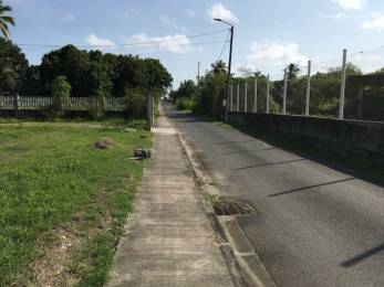 Achat Terrain Petit Canal (97131) - GUADELOUPE