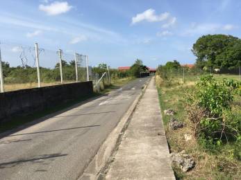 Achat Terrain Petit Canal (97131) - GUADELOUPE